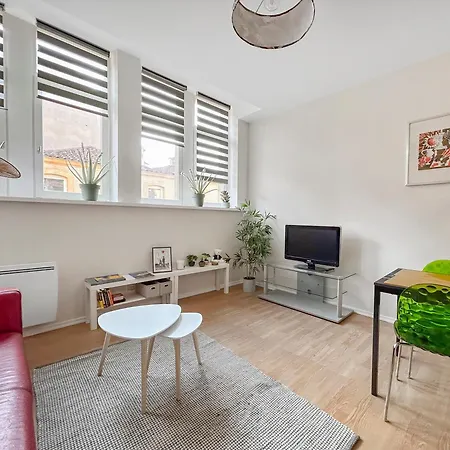 Lumineux & Cosy, Hyper Centre Apartment